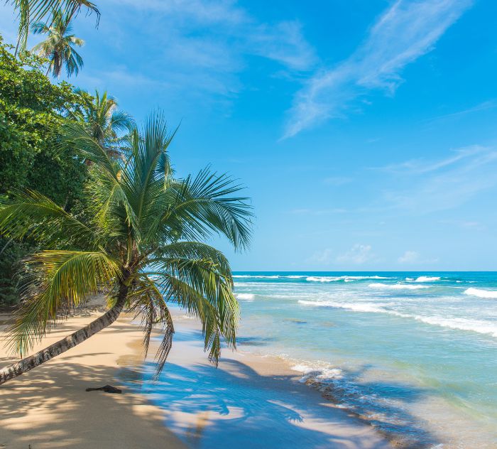 polaroid_costarica_1