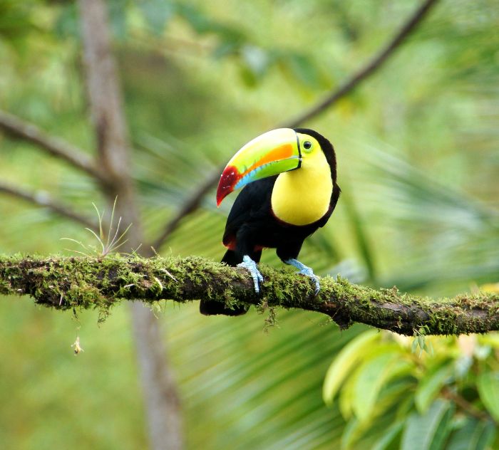 polaroid_costarica_4