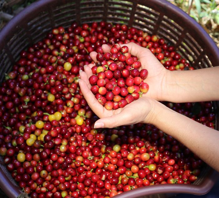 polaroid_costarica_5