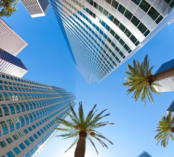 polaroid_losangeles_5