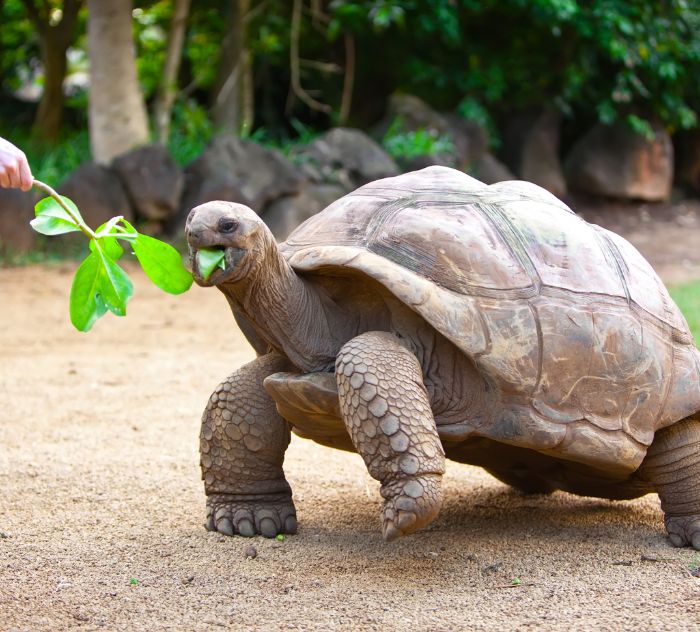 polaroid_seychelles_3