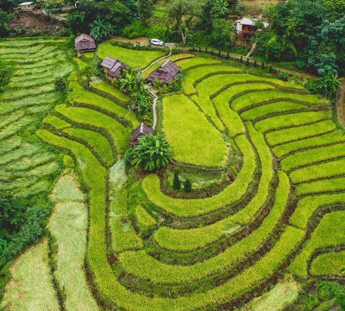 polaroid_thailandia_4