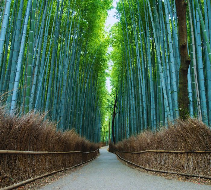 destinazione_kyoto_01