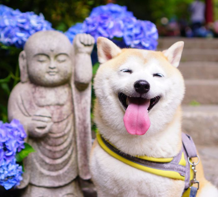 destinazione_kyoto_03