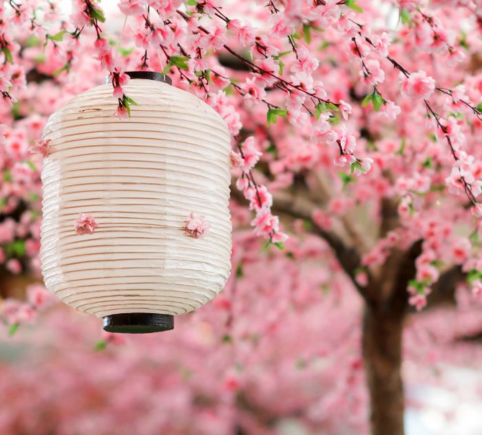 destinazione_kyoto_05